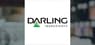 Darling Ingredients  CEO Randall Stuewe Sells 20,000 Shares of Stock