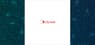 ScanSource  & Dynasil Corporation of America  Financial Analysis