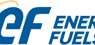 B. Riley Financial Cuts Energy Fuels  Price Target to $25.00