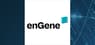 enGene Holdings Inc.  Short Interest Update
