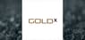 Gold X Mining  Shares Up 1.4%  – Time to Buy?