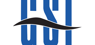 GSI Technology  Earns Buy Rating from Analysts at Needham & Company LLC