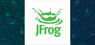 JFrog  CRO Sells $870,884.16 in Stock