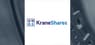 Quantitative Investment Management LLC Buys New Stake in KraneShares CSI China Internet ETF $KWEB