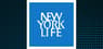 NYLIM FTSE International Equity Currency Neutral ETF  Stock Short Interest Drops 74.3%