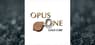 Opus One Gold  Stock Price Up 18.2%  – Time to Buy?