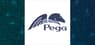 Fieldview Capital Management LLC Reduces Position in Pegasystems Inc. $PEGA