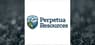 Perpetua Resources  Stock Price Up 3.2%  – Here’s Why