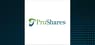 ProShares Metaverse ETF  Short Interest Up 136.2% in February