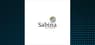 Sabina Gold & Silver  Stock Price Down 0.6%  – Here’s What Happened