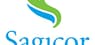 National Bank Financial Analysts Give Sagicor Financial  a C$13.00 Price Target
