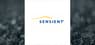 Sensient Technologies Corporation  Stock Has Consensus Target Price of $140.67 According to Brokerages