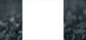 Short Interest in Spearmint Resources Inc.  Rises By 10,061.0%