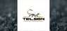 Telson Mining  Shares Up 1.5%  – Here’s Why