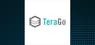 TeraGo   Shares Down 1.5%   – Should You Sell?