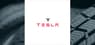 Fieldview Capital Management LLC Invests $3.30 Million in Tesla, Inc. $TSLA