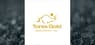 Daniel James Thomas Rollins Purchases 850 Shares of Torex Gold Resources  Stock