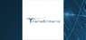 TransEnterix  versus Its Competitors Financial Comparison
