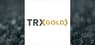 TRX Gold  Shares Up 8.8%  – Time to Buy?
