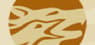 Western Copper and Gold  Price Target Raised to C$8.00