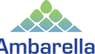 Ambarella  Downgraded by Summit Insights to “Hold”