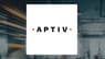 Aptiv  Stock Price Expected to Rise, Morgan Stanley Analyst Says