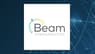 Beam Therapeutics  CEO John Evans Sells 25,000 Shares of Stock
