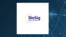 Biosig Technologies  Upgraded at Wall Street Zen