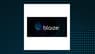 B. Riley Financial Has Lowered Expectations for Blaize  Stock Price