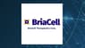 BriaCell Therapeutics  Trading 1.6% Higher   – What’s Next?
