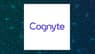 Cognyte Software  to Release Quarterly Earnings on Wednesday