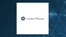 CDT Equity   Shares Down 5.3%   – Here’s Why