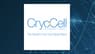 Cryo-Cell International  Stock Price Crosses Below Two Hundred Day Moving Average   – Here’s Why