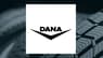 Dana  Stock Crosses Above 200-Day Moving Average   – Time to Sell?