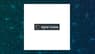 SG Americas Securities LLC Sells 91,941 Shares of Digital Turbine, Inc. $APPS