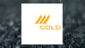 DRDGOLD  Rating Increased to Strong-Buy at Wall Street Zen