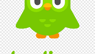 JPMorgan Chase & Co. Issues Positive Forecast for Duolingo  Stock Price