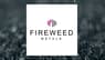 Fireweed Metals  Trading 2.5% Higher   – Still a Buy?