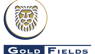 JPMorgan Chase & Co. Cuts Gold Fields  Price Target to $55.00