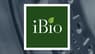 iBio  Stock Rating Lowered by Wall Street Zen