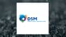 Head-To-Head Contrast: Global Partner Acquisition Corp II  & Koninklijke DSM 