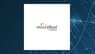 Microbot Medical Inc.  Receives Average Rating of “Moderate Buy” from Analysts