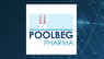 Poolbeg Pharma  Shares Up 2.9%  – What’s Next?
