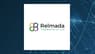 Minerva Neurosciences  and Relmada Therapeutics  Financial Survey