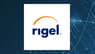 Financial Survey: Alaunos Therapeutics  versus Rigel Pharmaceuticals 