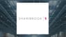 Shawbrook Group  Share Price Passes Below 50 Day Moving Average   – Here’s What Happened