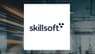 Bit Digital  and Skillsoft  Critical Review