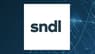 SNDL  vs. InMode  Head to Head Review