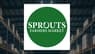 Hudson Bay Capital Management LP Has $3.28 Million Stake in Sprouts Farmers Market, Inc. $SFM