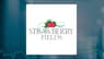 Strawberry Fields REIT, Inc.  Given Consensus Recommendation of “Moderate Buy” by Analysts